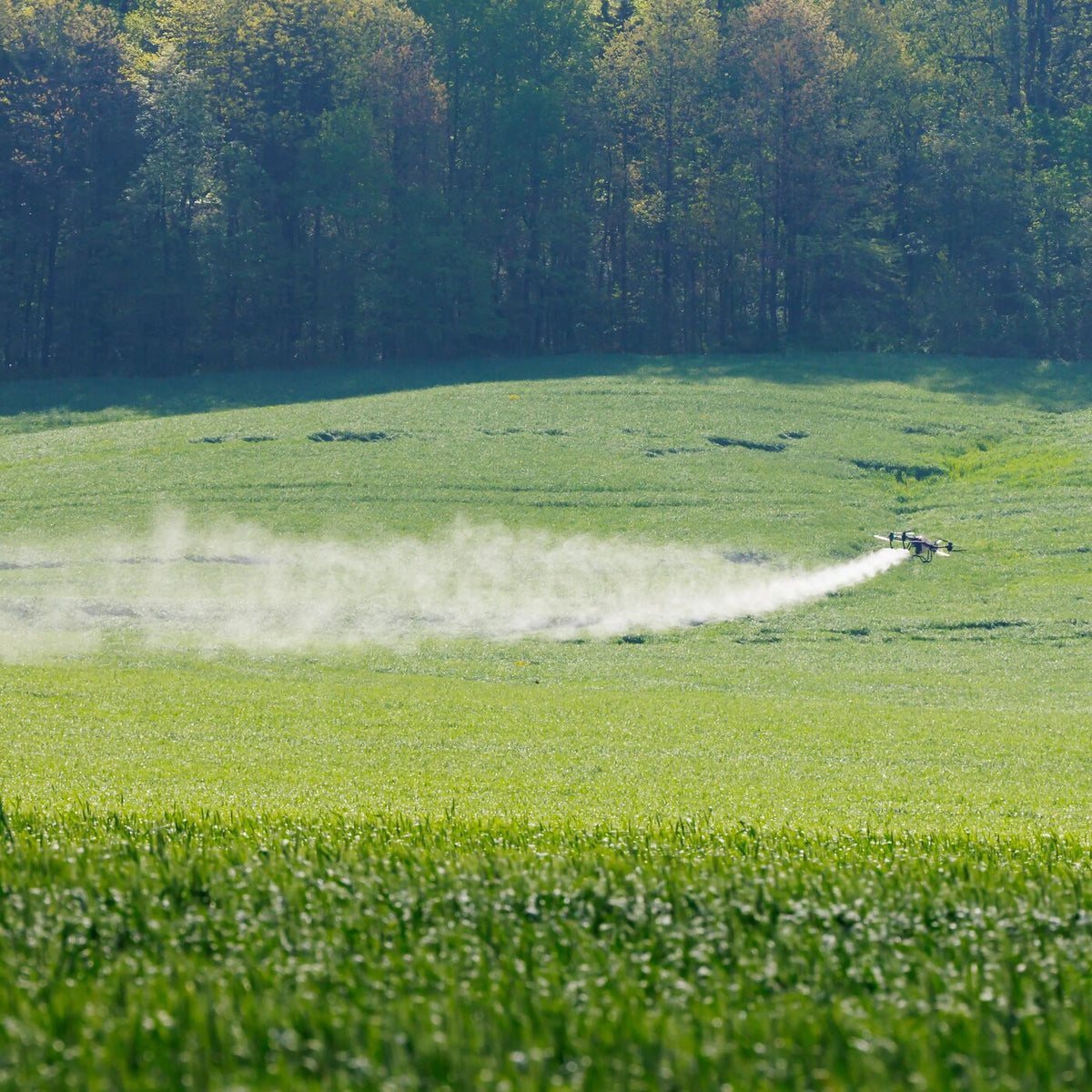 Spray drone applying herbicide over a green field